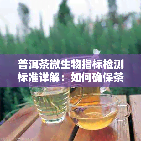 普洱茶微生物指标检测标准详解：如何确保茶叶品质与安全性？