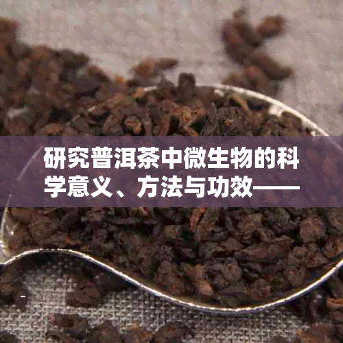 研究普洱茶中微生物的科学意义、方法与功效——基于实验报告与论文分析