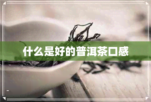 什么是好的普洱茶口感