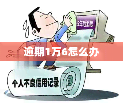 逾期1万6怎么办