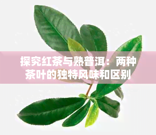 探究红茶与熟普洱：两种茶叶的独特风味和区别