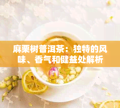 麻栗树普洱茶：独特的风味、香气和健益处解析