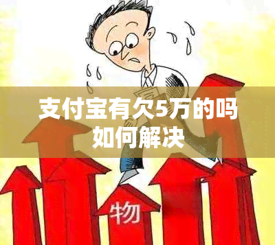 支付宝有欠5万的吗如何解决