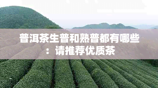 普洱茶生普和熟普都有哪些：请推荐优质茶