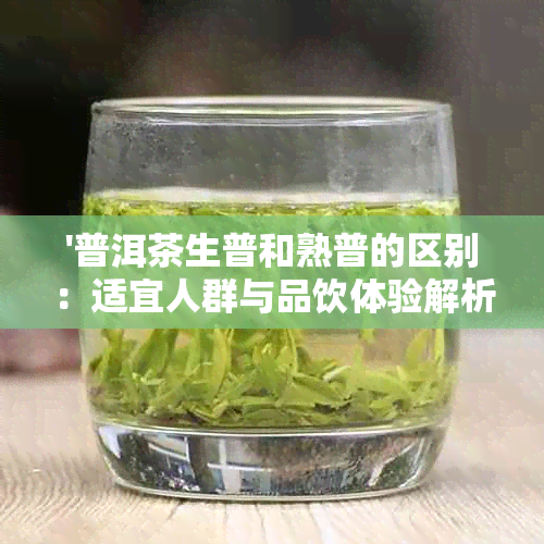 '普洱茶生普和熟普的区别：适宜人群与品饮体验解析'