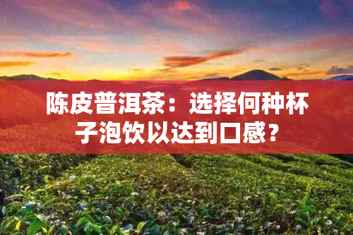 陈皮普洱茶：选择何种杯子泡饮以达到口感？