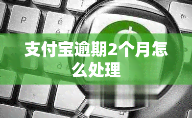 支付宝逾期2个月怎么处理