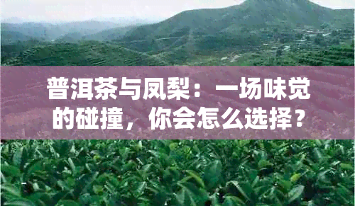 普洱茶与凤梨：一场味觉的碰撞，你会怎么选择？