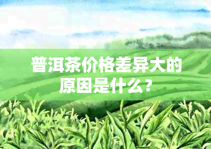 普洱茶价格差异大的原因是什么？