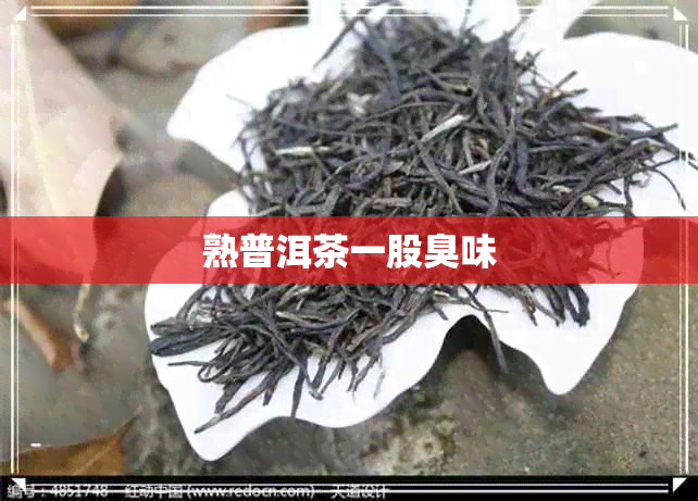 熟普洱茶一股臭味