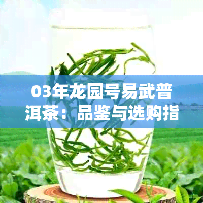 03年龙园号易武普洱茶：品鉴与选购指南，了解产地、工艺与口感等全方位信息