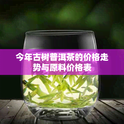 今年古树普洱茶的价格走势与原料价格表