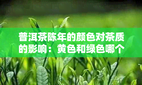 普洱茶陈年的颜色对茶质的影响：黄色和绿色哪个更好？