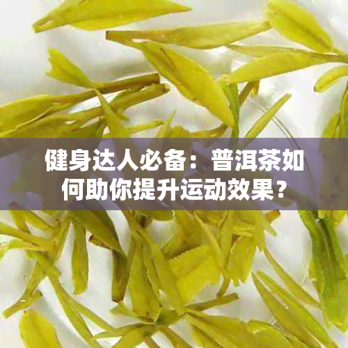 健身达人必备：普洱茶如何助你提升运动效果？