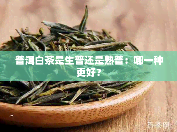 普洱白茶是生普还是熟普：哪一种更好？