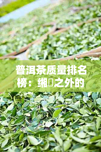 普洱茶质量排名榜：缃慭之外的优质茶叶推荐与比较