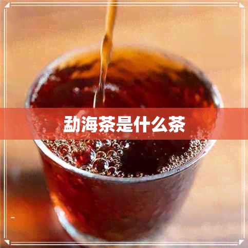 勐海茶是什么茶