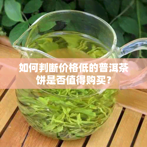 如何判断价格低的普洱茶饼是否值得购买？