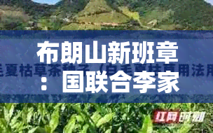 布朗山新班章：国联合李家村出品的历名茶与茶厂信息