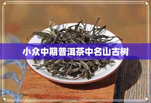 小众中期普洱茶中名山古树