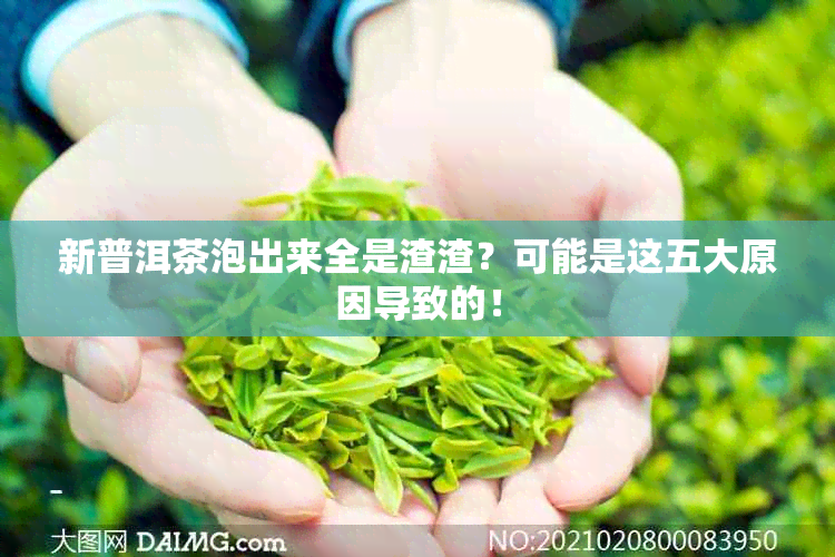 新普洱茶泡出来全是渣渣？可能是这五大原因导致的！