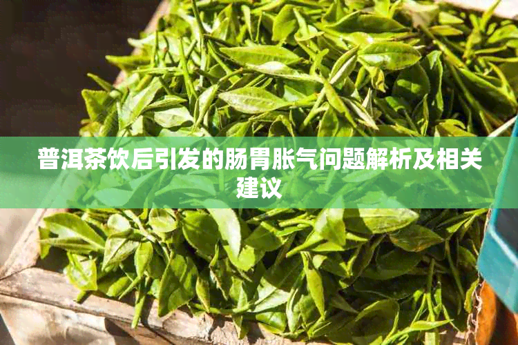 普洱茶饮后引发的肠胃胀气问题解析及相关建议