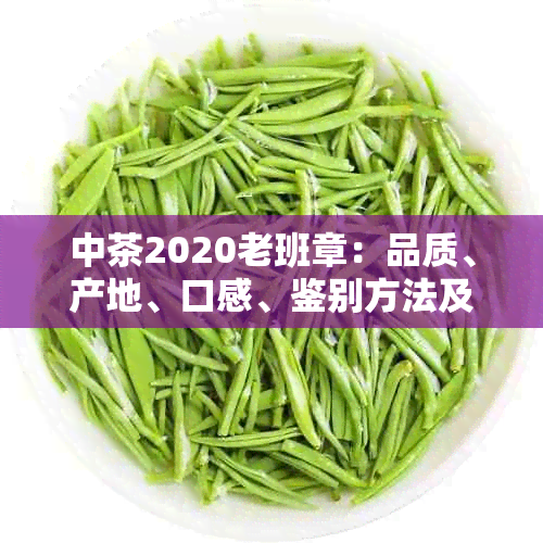 中茶2020老班章：品质、产地、口感、鉴别方法及适合搭配的茶具一应俱全