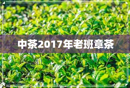 中茶2017年老班章茶