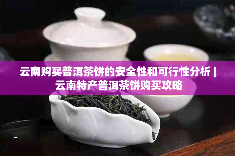 云南购买普洱茶饼的安全性和可行性分析 | 云南特产普洱茶饼购买攻略