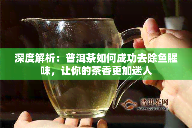 深度解析：普洱茶如何成功去除腥味，让你的茶香更加迷人