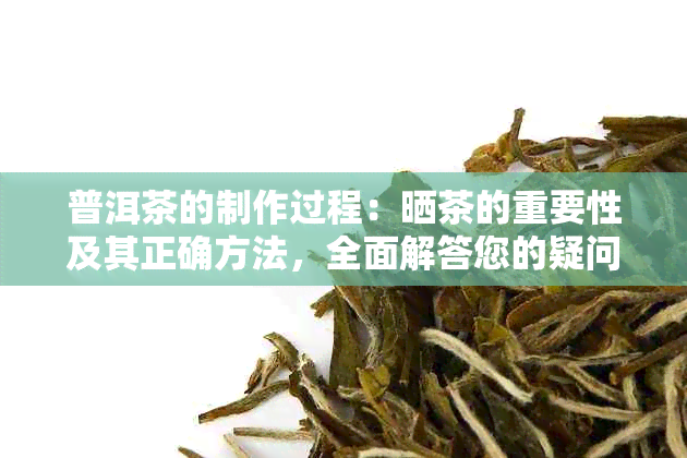 普洱茶的制作过程：晒茶的重要性及其正确方法，全面解答您的疑问