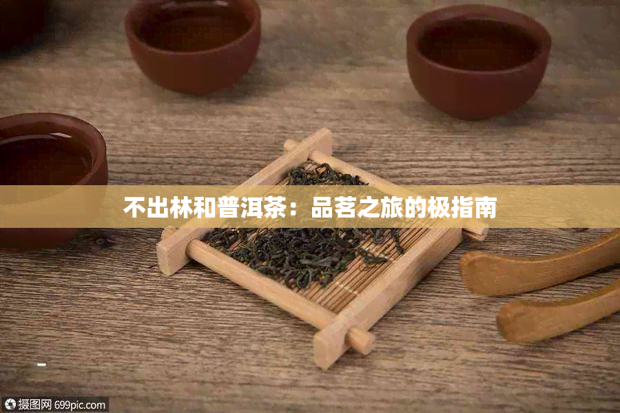 不出林和普洱茶：品茗之旅的极指南