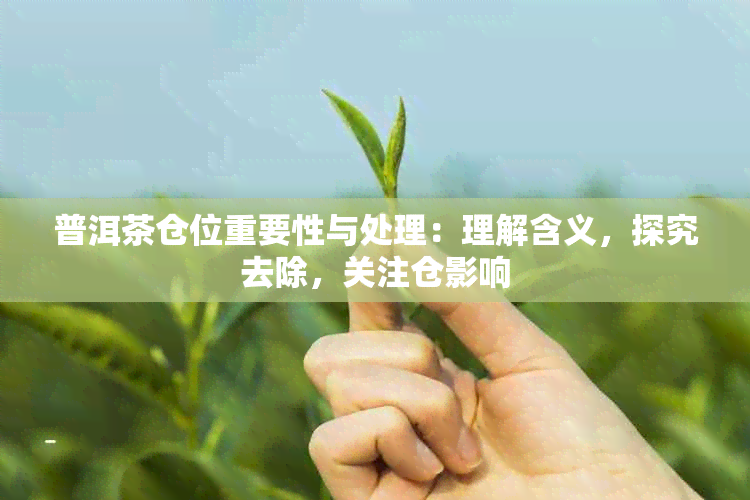 普洱茶仓位重要性与处理：理解含义，探究去除，关注仓影响