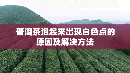 普洱茶泡起来出现白色点的原因及解决方法