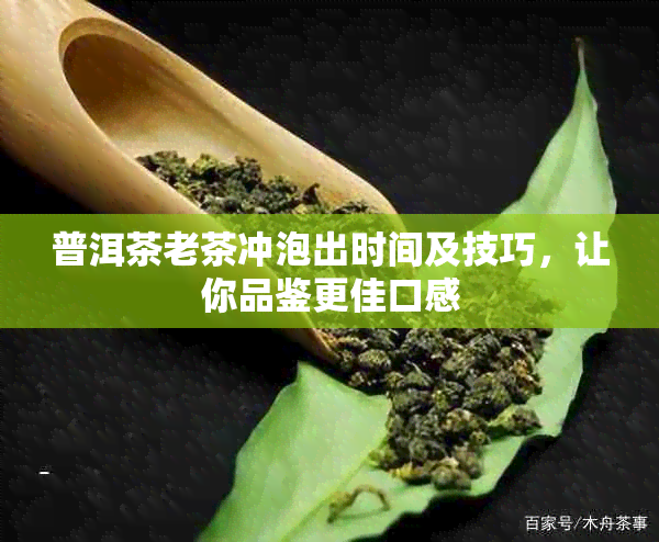 普洱茶老茶冲泡出时间及技巧，让你品鉴更佳口感