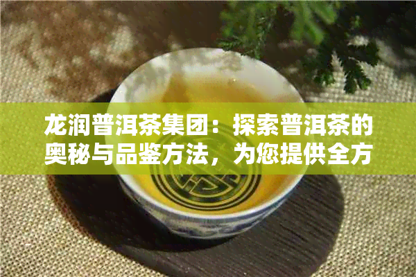 龙润普洱茶集团：探索普洱茶的奥秘与品鉴方法，为您提供全方位的茶文化体验