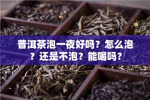 普洱茶泡一夜好吗？怎么泡？还是不泡？能喝吗？