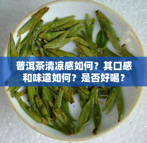 普洱茶清凉感如何？其口感和味道如何？是否好喝？