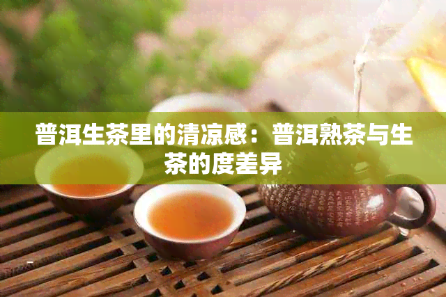 普洱生茶里的清凉感：普洱熟茶与生茶的度差异