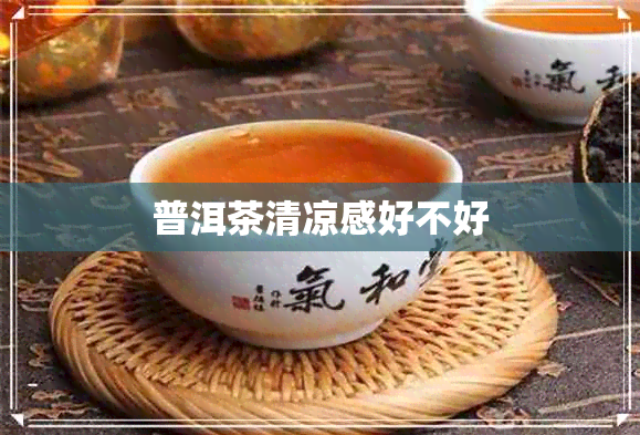 普洱茶清凉感好不好