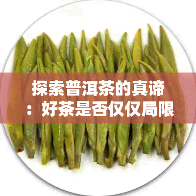 探索普洱茶的真谛：好茶是否仅仅局限于枣香？