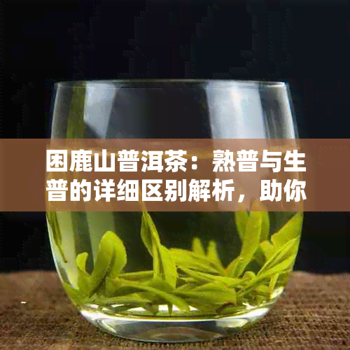 困鹿山普洱茶：熟普与生普的详细区别解析，助你轻松挑选适合自己的茶叶