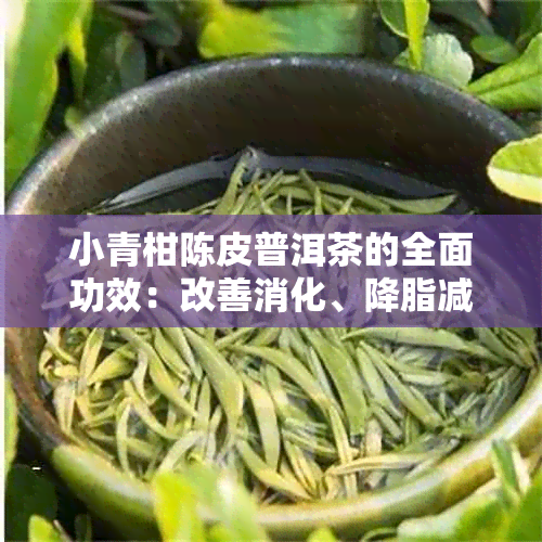 小青柑陈皮普洱茶的全面功效：改善消化、降脂减肥、提高免疫力等