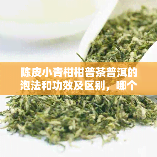 陈皮小青柑柑普茶普洱的泡法和功效及区别，哪个好？