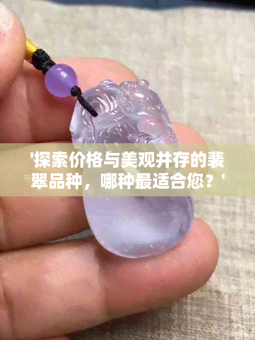 '探索价格与美观并存的裴翠品种，哪种最适合您？'