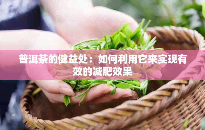 普洱茶的健益处：如何利用它来实现有效的减肥效果