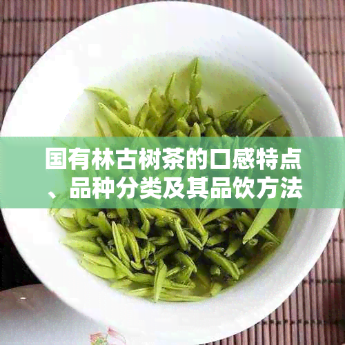 国有林古树茶的口感特点、品种分类及其品饮方法全面解析