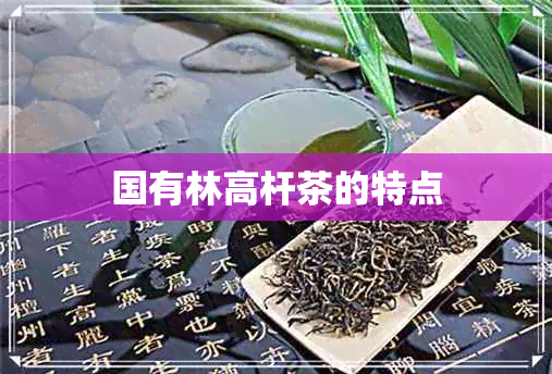 国有林高杆茶的特点