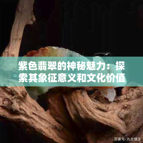 紫色翡翠的神秘魅力：探索其象征意义和文化价值