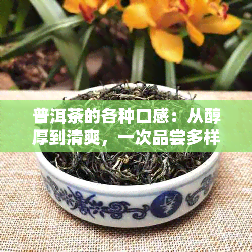 普洱茶的各种口感：从醇厚到清爽，一次品尝多样风味